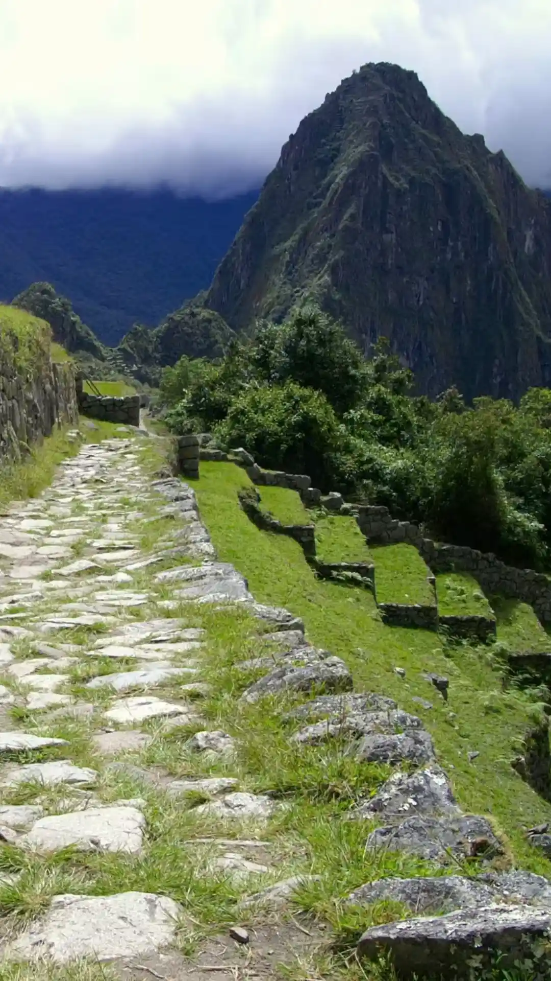 inca trail collection 5 days to machu picchu