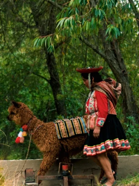 Alpaca Walking Tour in the Sacred Valley - Full Day