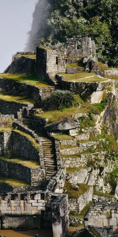 Peru Amazon and Machu Picchu tour
