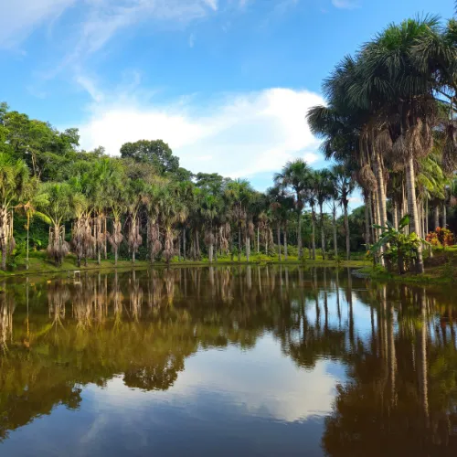 Private Peru Tours for Luxury Travelers