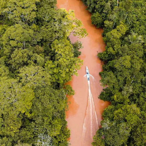 The Amazon River of Peru, full of adventures