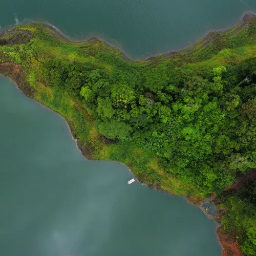 Tambopata Rive to Amazon