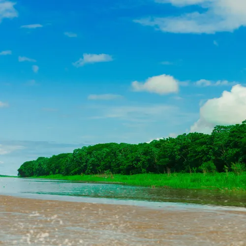 Remote lagoon to Amazon