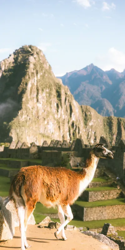 private Machu Picchu tour