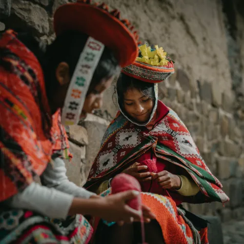 Alpacas with a tourist excursion to Cusco