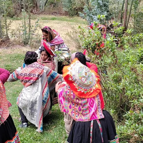 Sacred Valley natural dyeing workshop