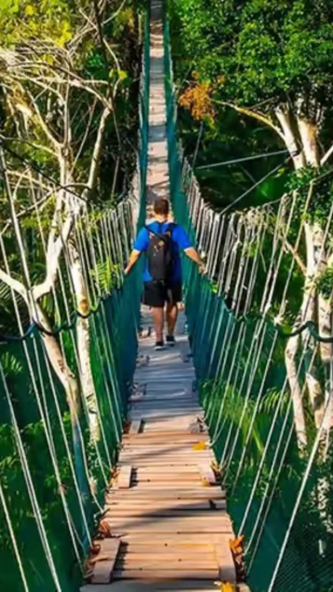 alternative treks to machu picchu