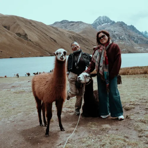 Family excursion and experiences with alpacas.
