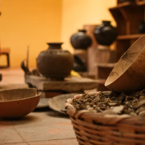 Larco Museum to Lima