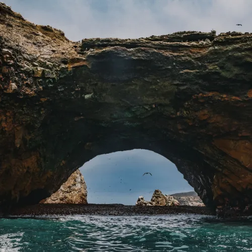 Ballestas Islands to Ica & Nazca