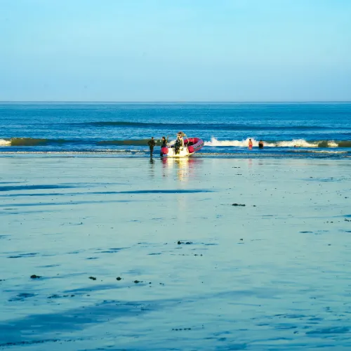 Boat excursion to Ica & Nazca