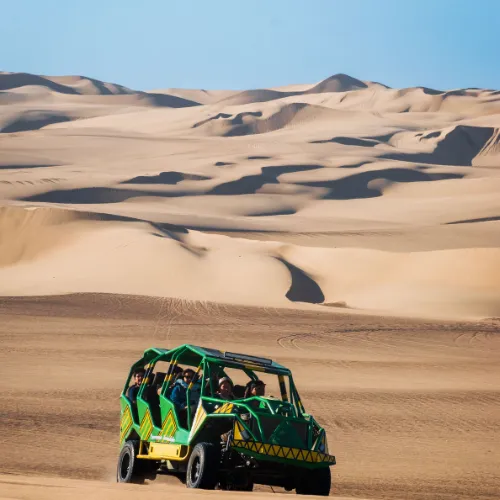 Full-Day Paracas & Huacachina Tour from Lima