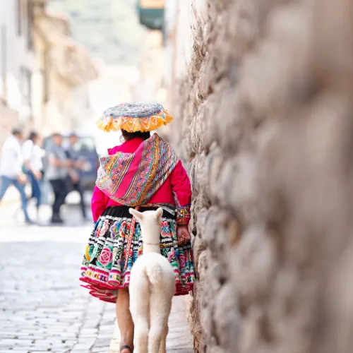 Walking tour with alpacas in the Sacred Valley.