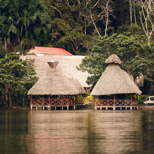 Jungle lodge to Amazon