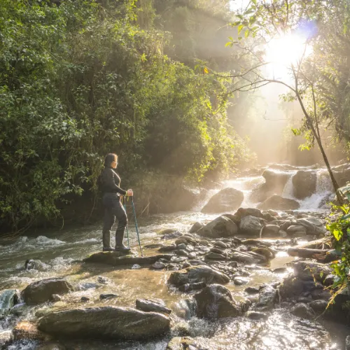 Lowland Rainforest to Amazon