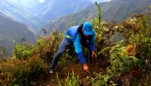 reforestation projects in Peru - Peru Private Tours