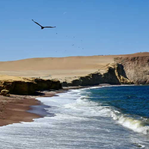 Coastal desert views to Ica & Nazca