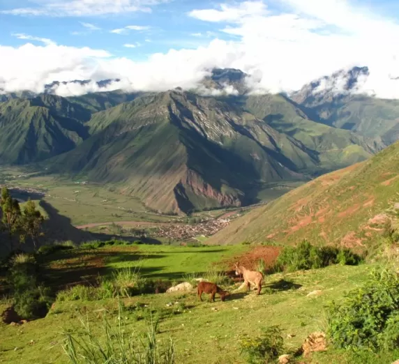 Private Machu Picchu Tour From Cusco