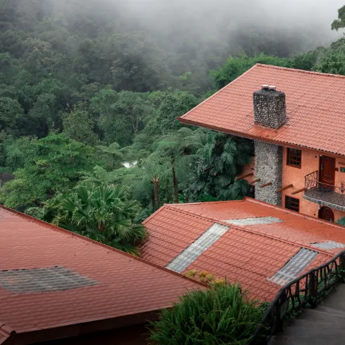 Jungle lodge to Amazon