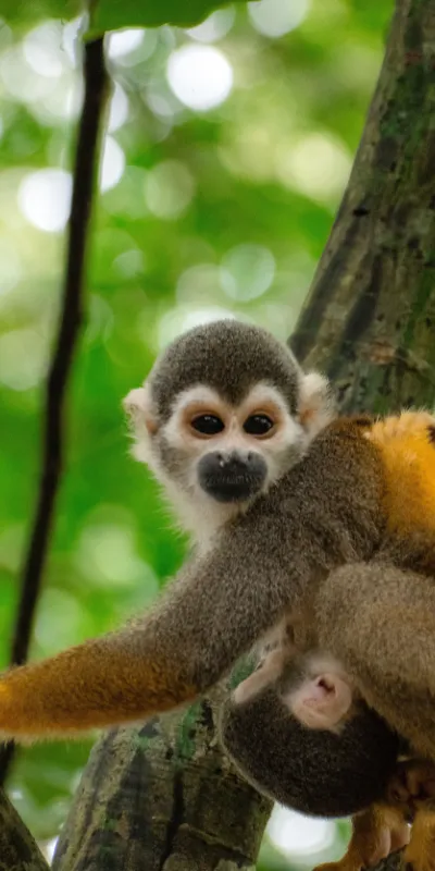 private Peru tour package