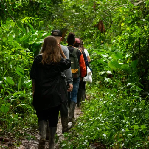 Trek to Amazon