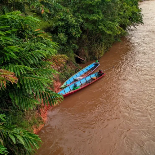 Manu River To Amazon