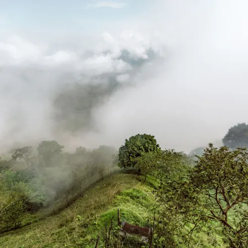 Cloud Forest to Amazon adventure