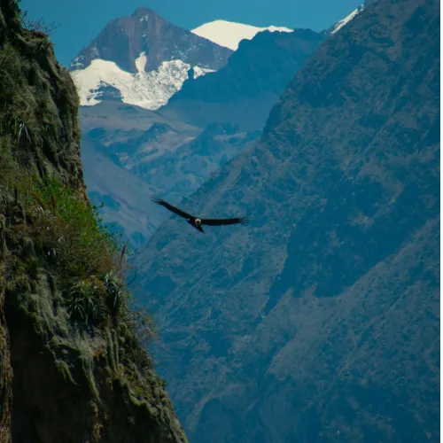 High-Andean landscapes to Arequipa