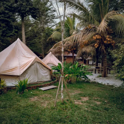 Jungle camping to Amazon