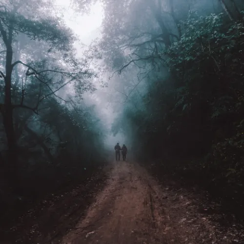 Cloud Forest to Amazon adventure