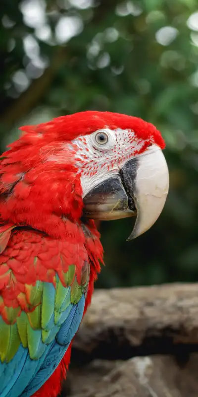 grand Peru tour