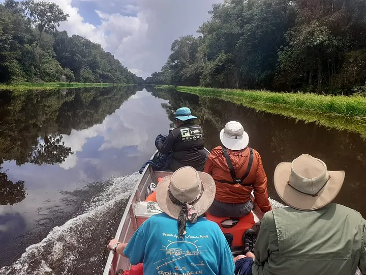 Amazon river