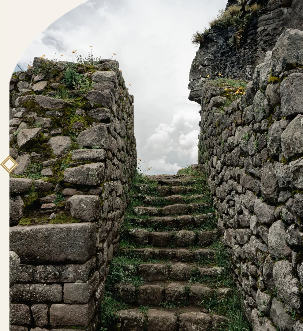 The Machu Picchu Experience