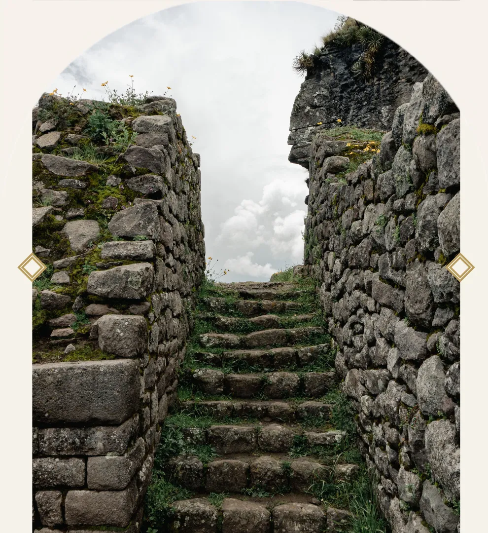 The Machu Picchu Experience