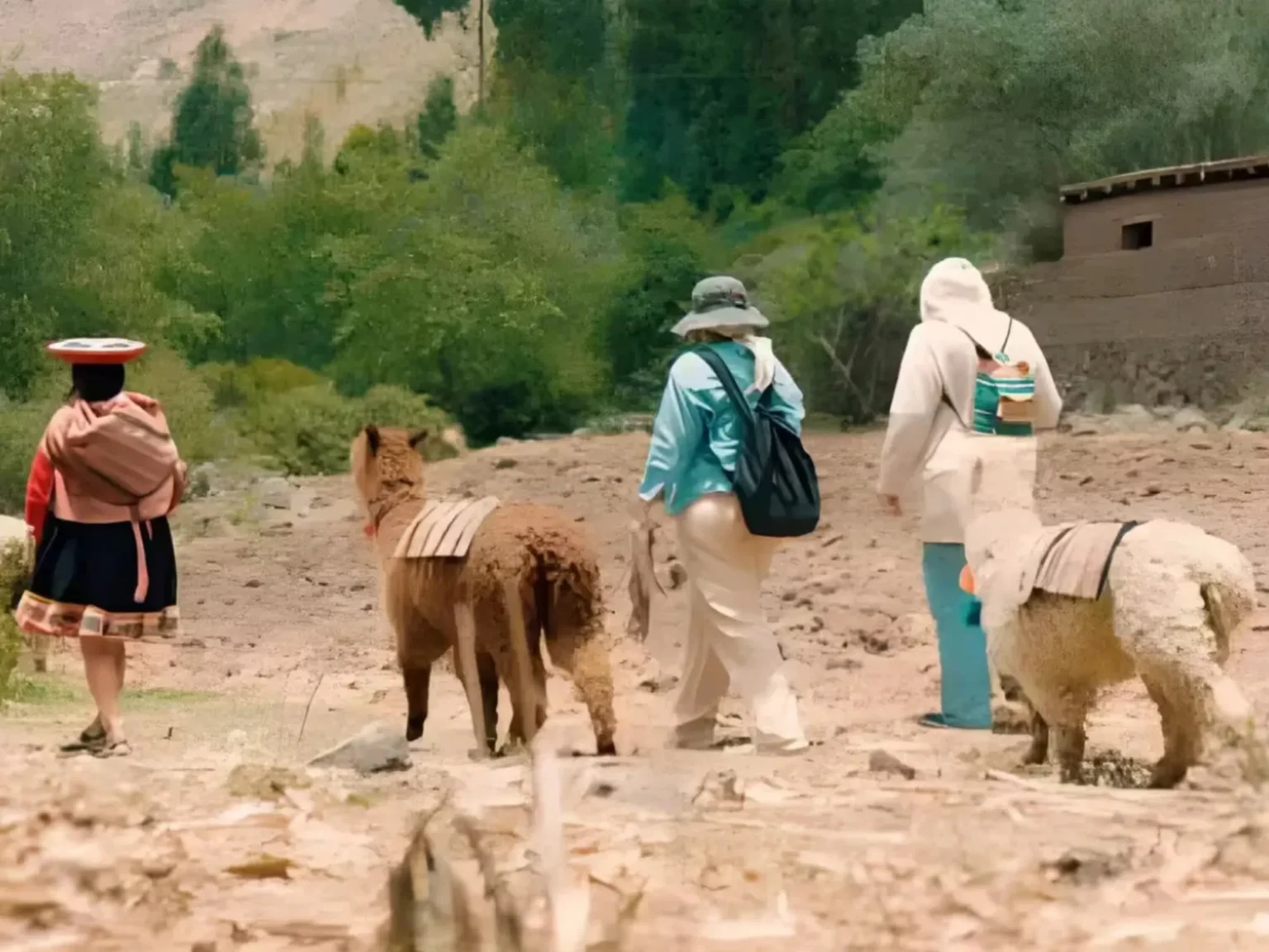 Alpaca Walking Tour in the Sacred Valley