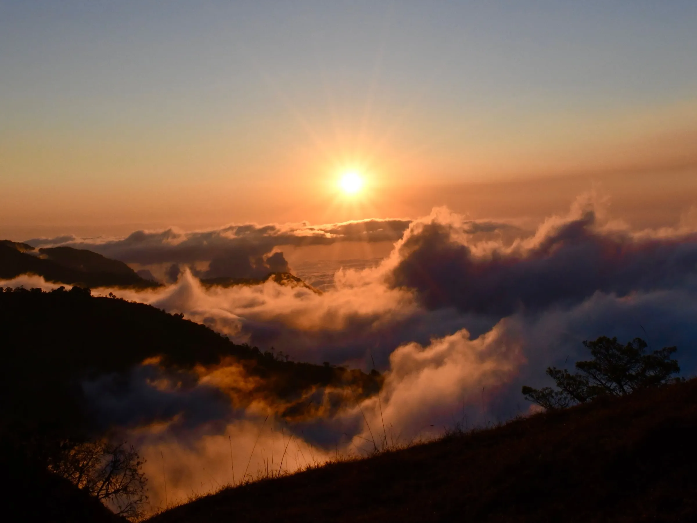 Best Time to Visit the Peruvian Amazon