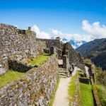 Cloud Forest & Sayacmarca (1 Hour)