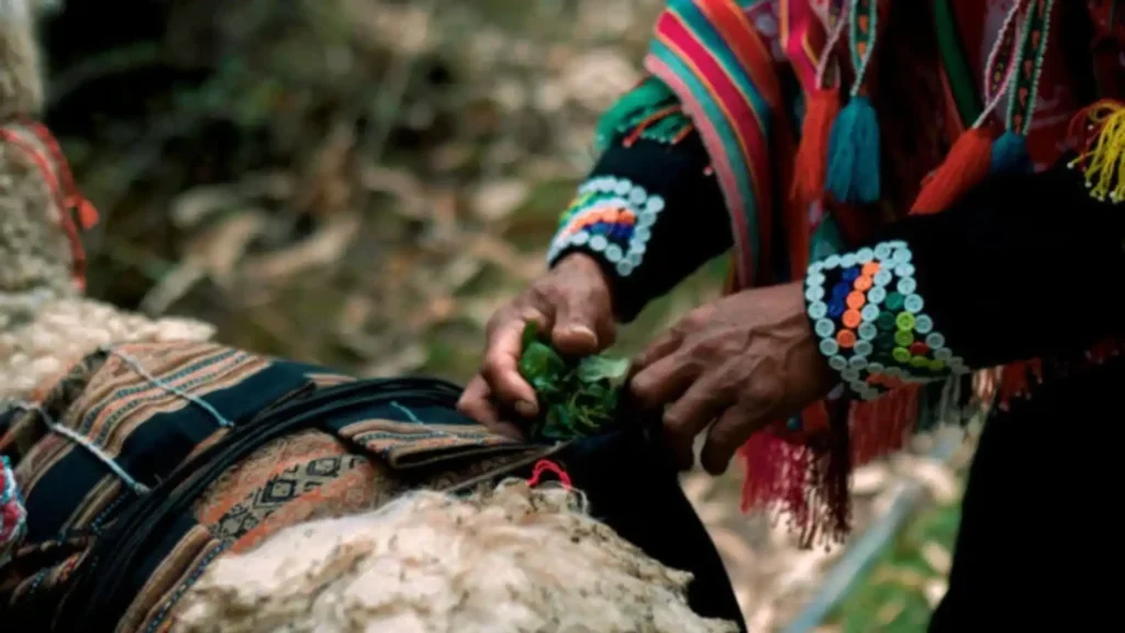 Textil and Walking experineces in the Sacred Valley
